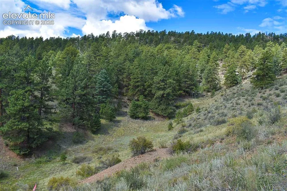 281 Deer Lane Guffey, CO 80820