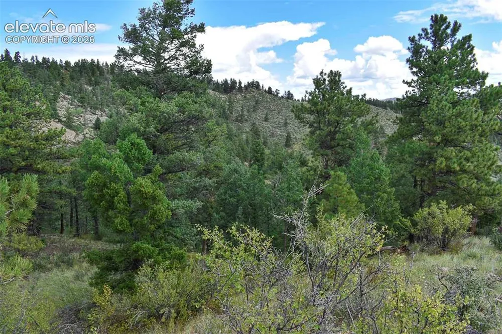 281 Deer Lane Guffey, CO 80820