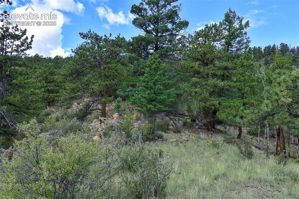 281 Deer Lane Guffey, CO 80820
