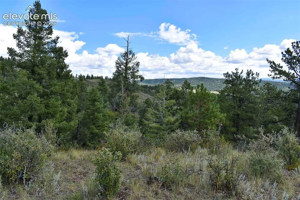 281 Deer Lane Guffey, CO 80820