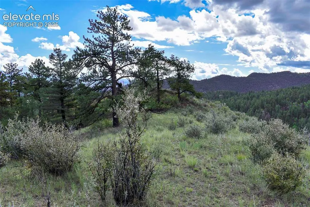 281 Deer Lane Guffey, CO 80820