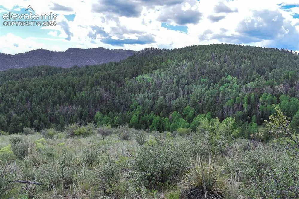 281 Deer Lane Guffey, CO 80820