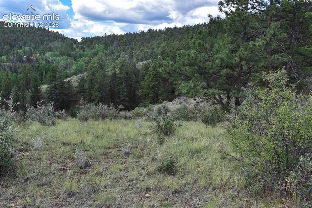 281 Deer Lane Guffey, CO 80820