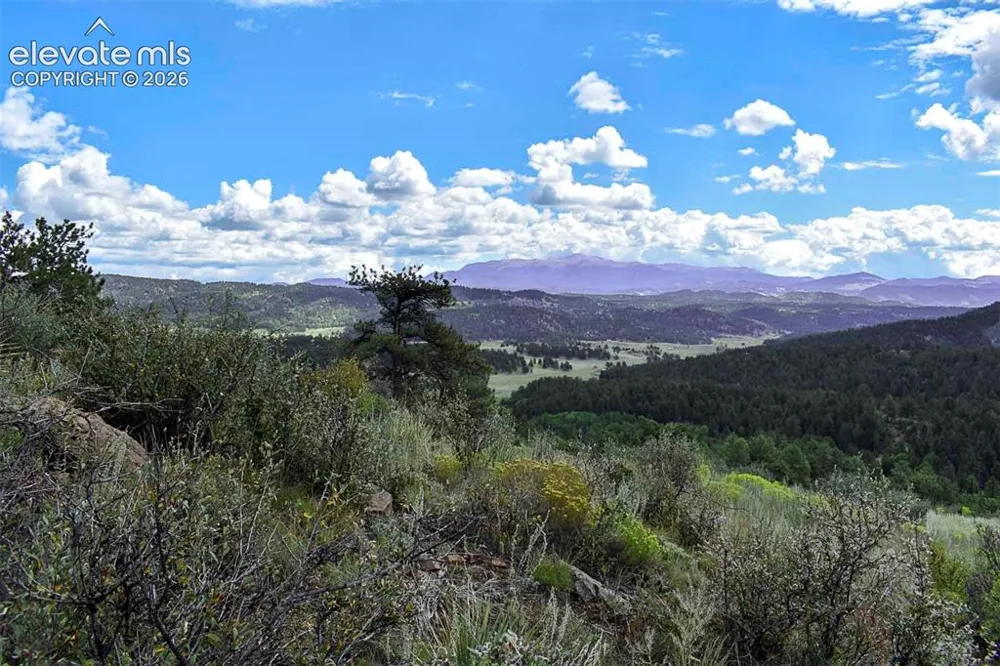 281 Deer Lane Guffey, CO 80820