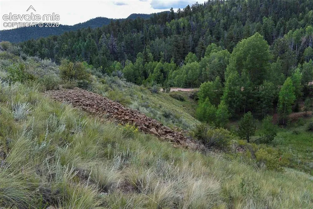 281 Deer Lane Guffey, CO 80820