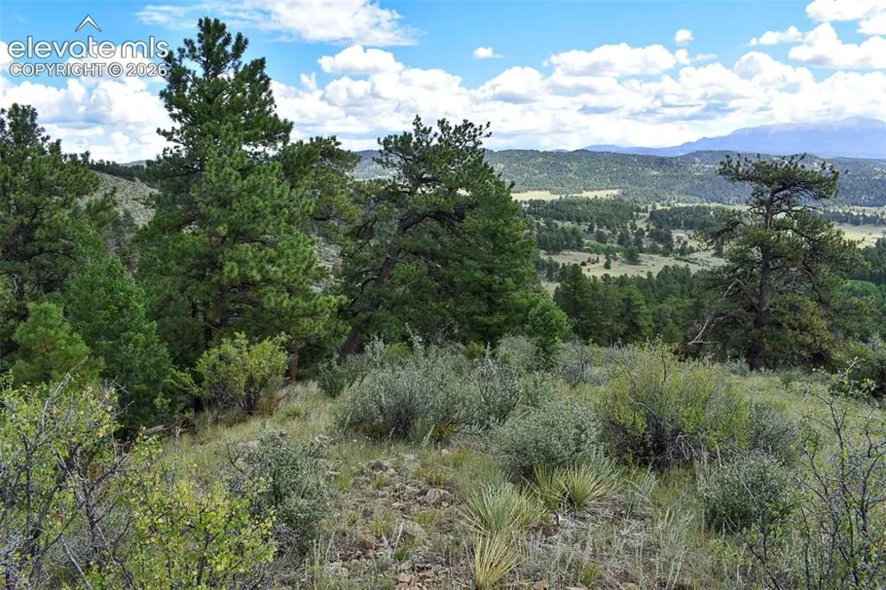 281 Deer Lane Guffey, CO 80820