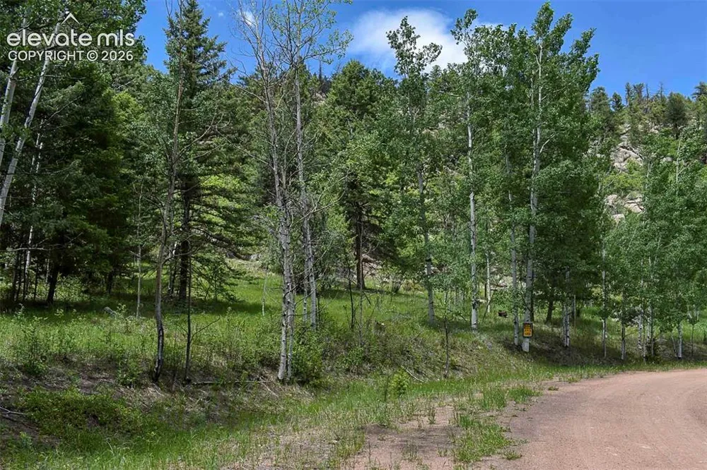 281 Deer Lane Guffey, CO 80820