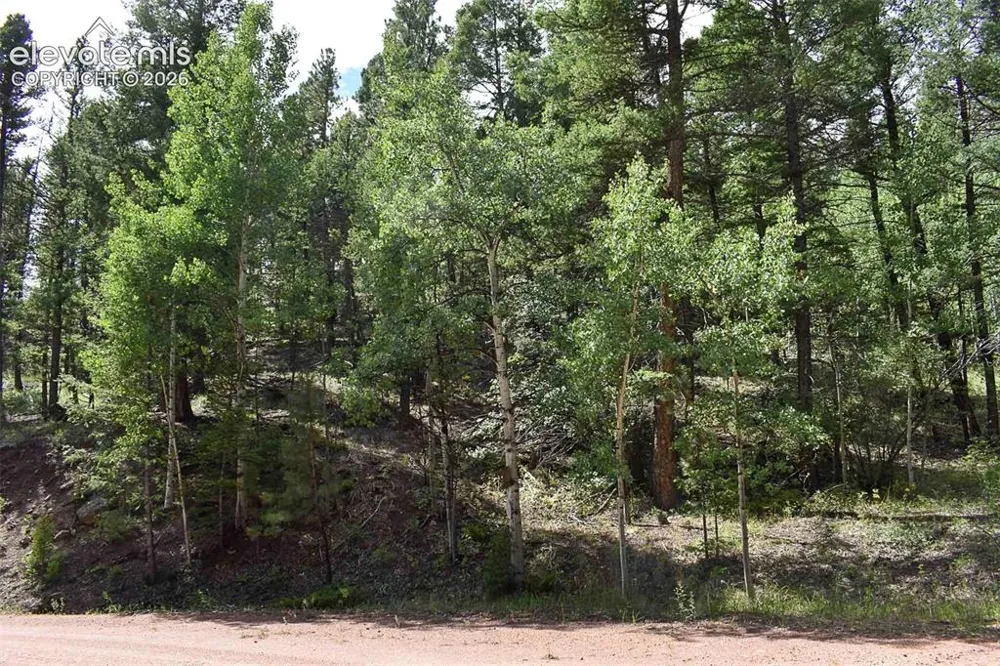 281 Deer Lane Guffey, CO 80820