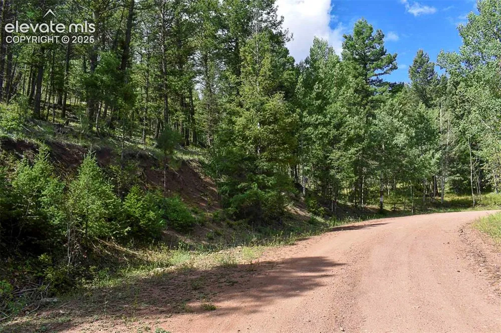 281 Deer Lane Guffey, CO 80820