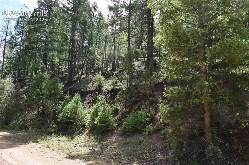 281 Deer Lane Guffey, CO 80820