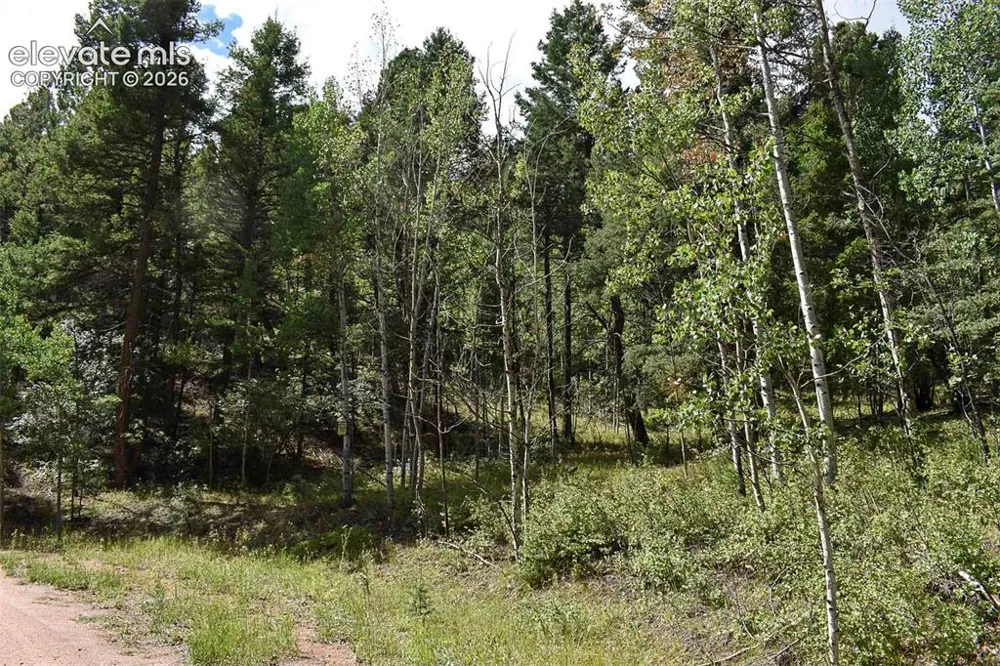281 Deer Lane Guffey, CO 80820