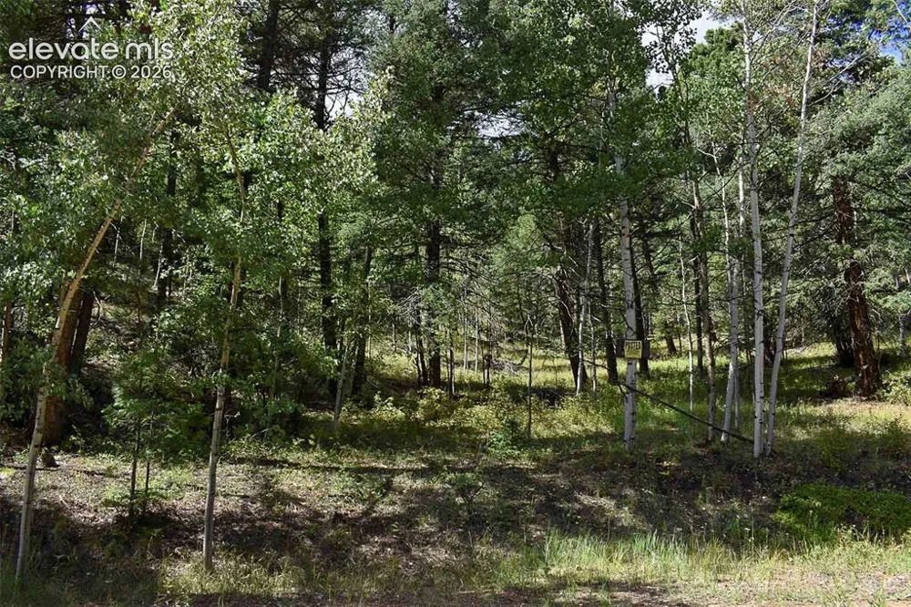 281 Deer Lane Guffey, CO 80820