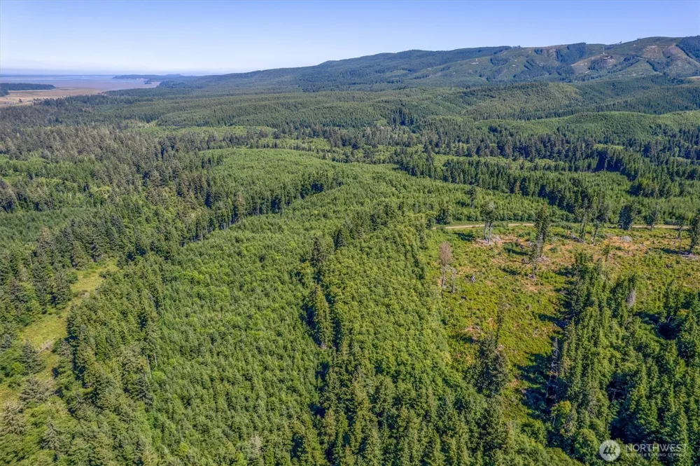 1 W Walberg Road Chinook, WA 98614