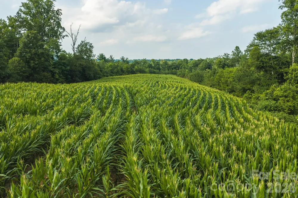 TBD Sandbar Road Granite Falls, NC 28630