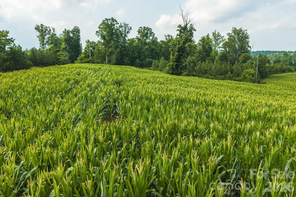 TBD Sandbar Road Granite Falls, NC 28630