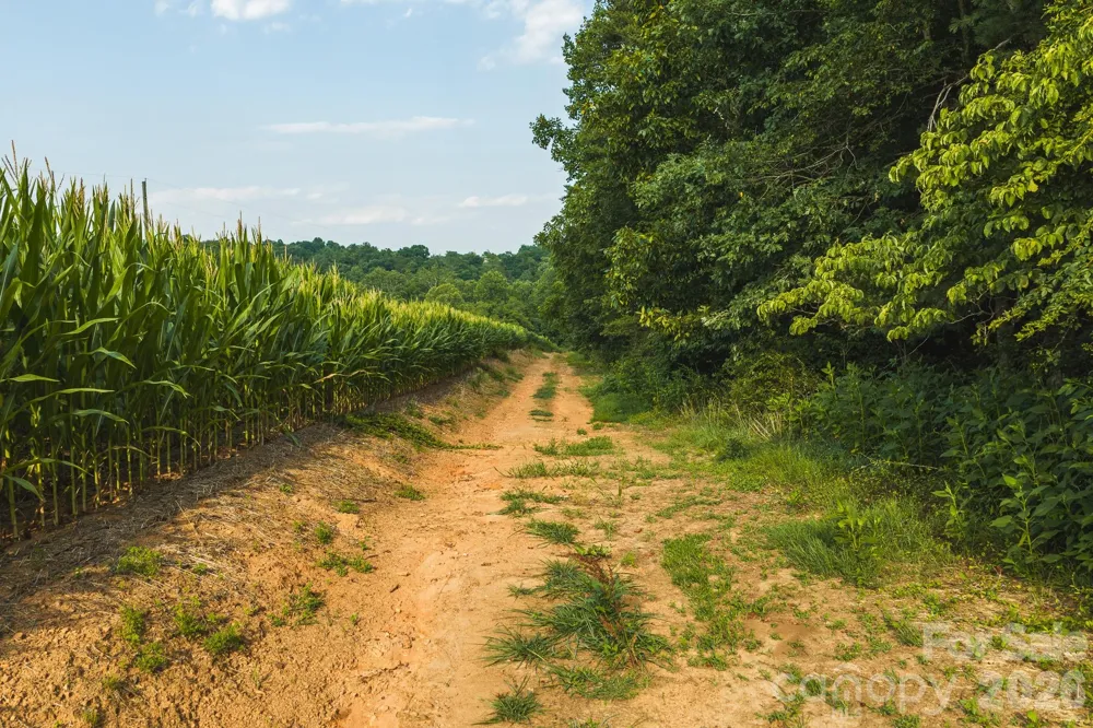 TBD Sandbar Road Granite Falls, NC 28630