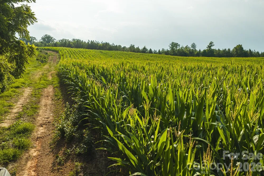 TBD Sandbar Road Granite Falls, NC 28630