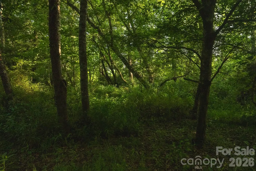 TBD Sandbar Road Granite Falls, NC 28630