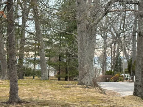 Dogwood Drive