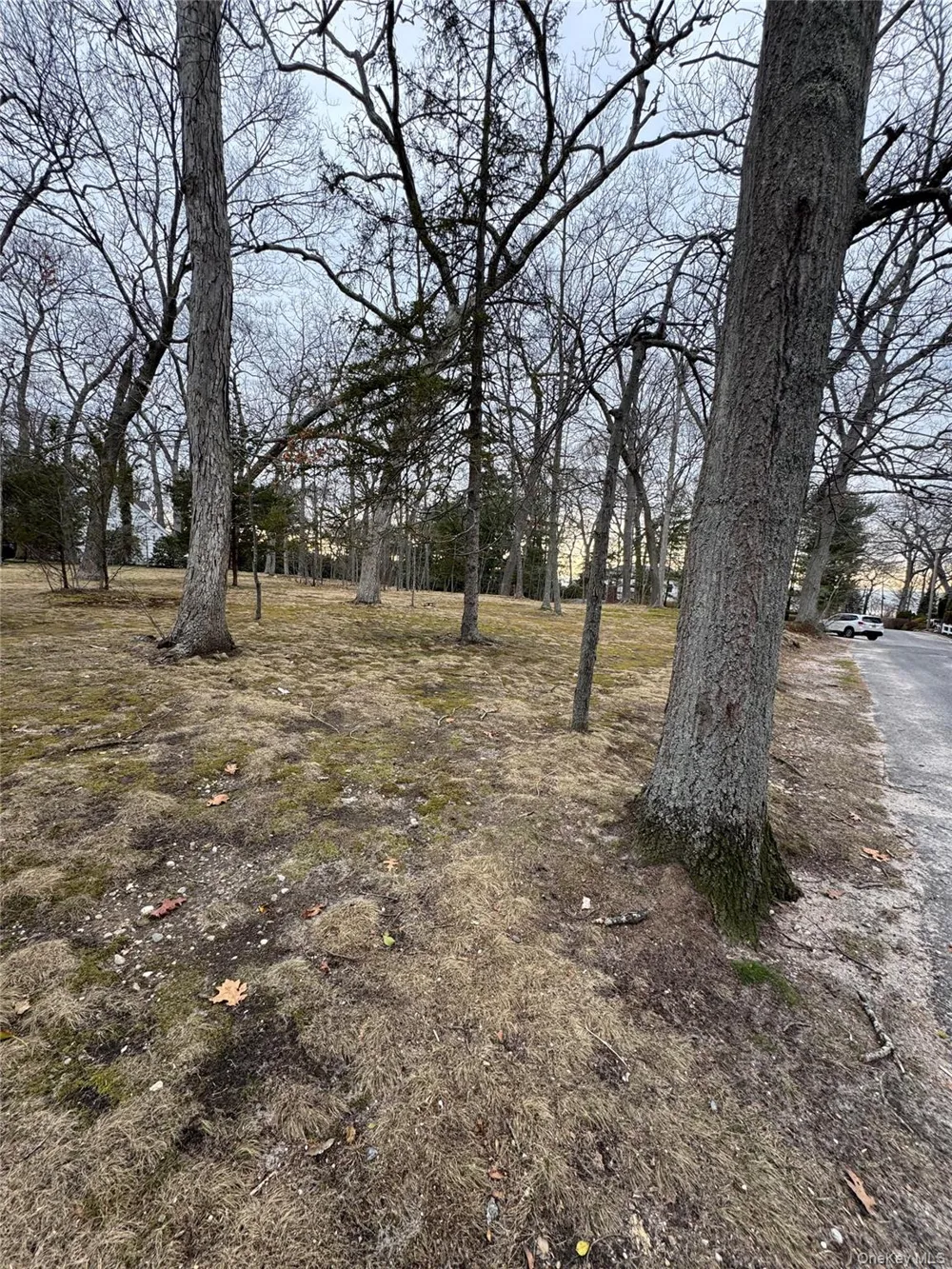 Dogwood Drive Stony Brook, NY 11790