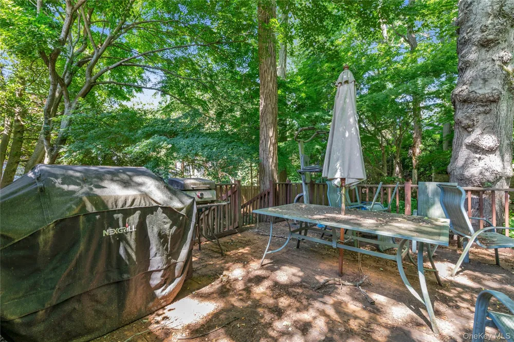 21 Laurel Avenue Sea Cliff, NY 11579