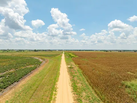 Content School Road