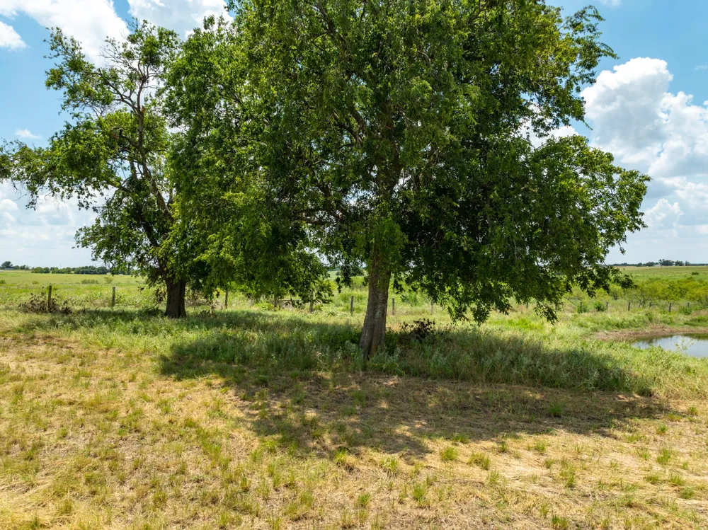 Content School Road Temple, TX 76501