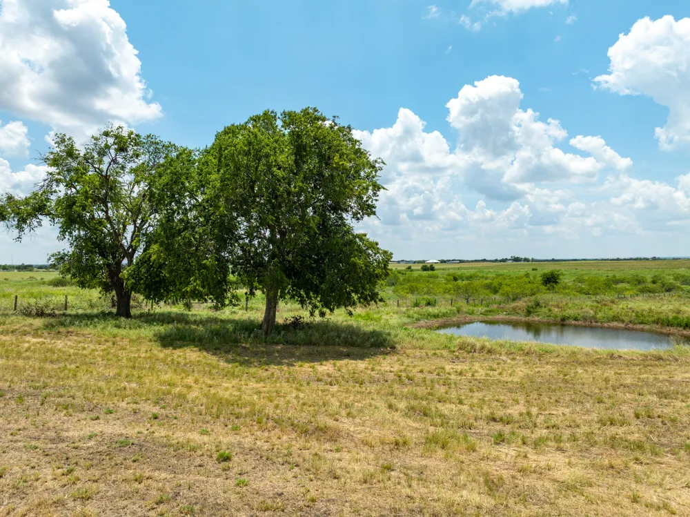 Content School Road Temple, TX 76501