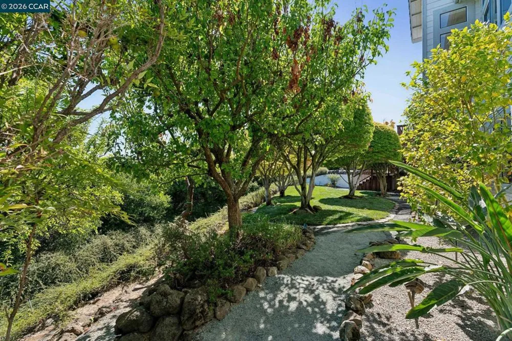 905 Dana Highlands Ct Lafayette, CA 94549