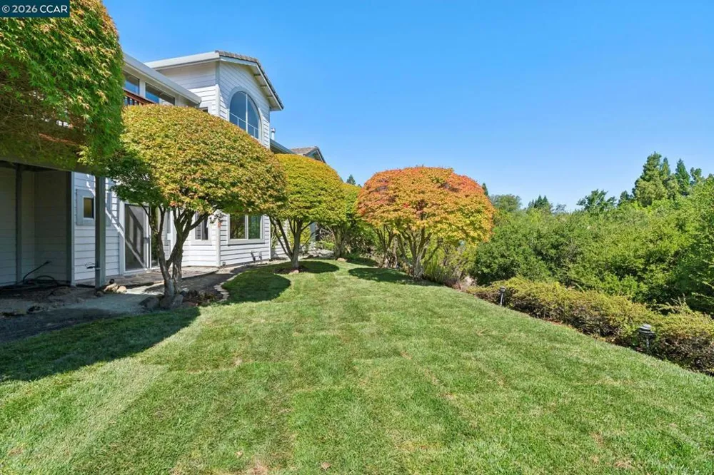 905 Dana Highlands Ct Lafayette, CA 94549