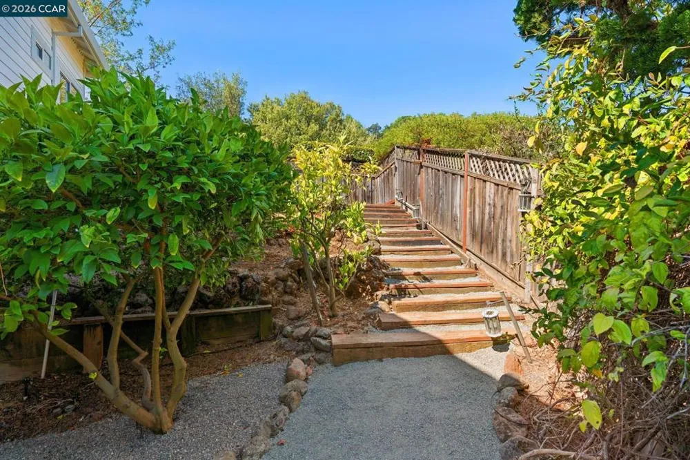 905 Dana Highlands Ct Lafayette, CA 94549