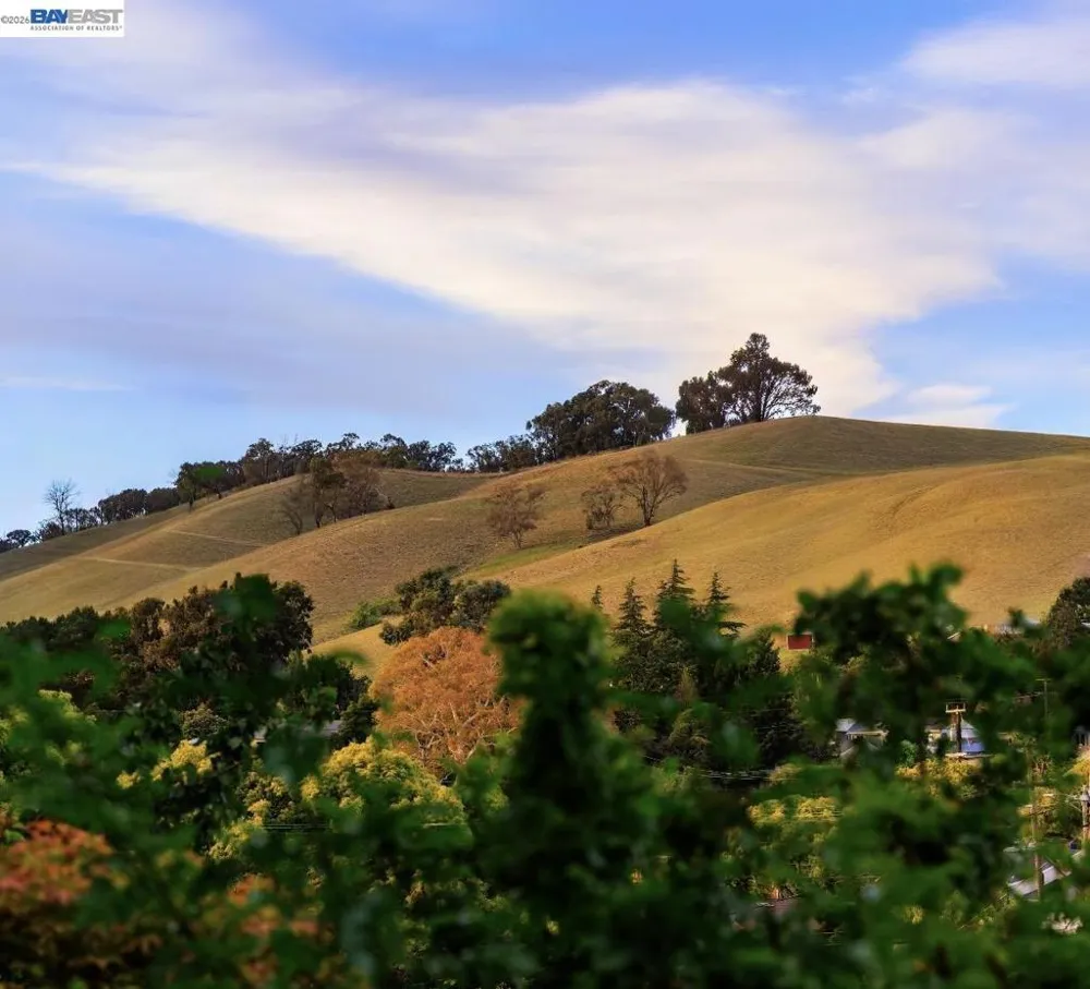 16004 Wellington Way Castro Valley, CA 94578
