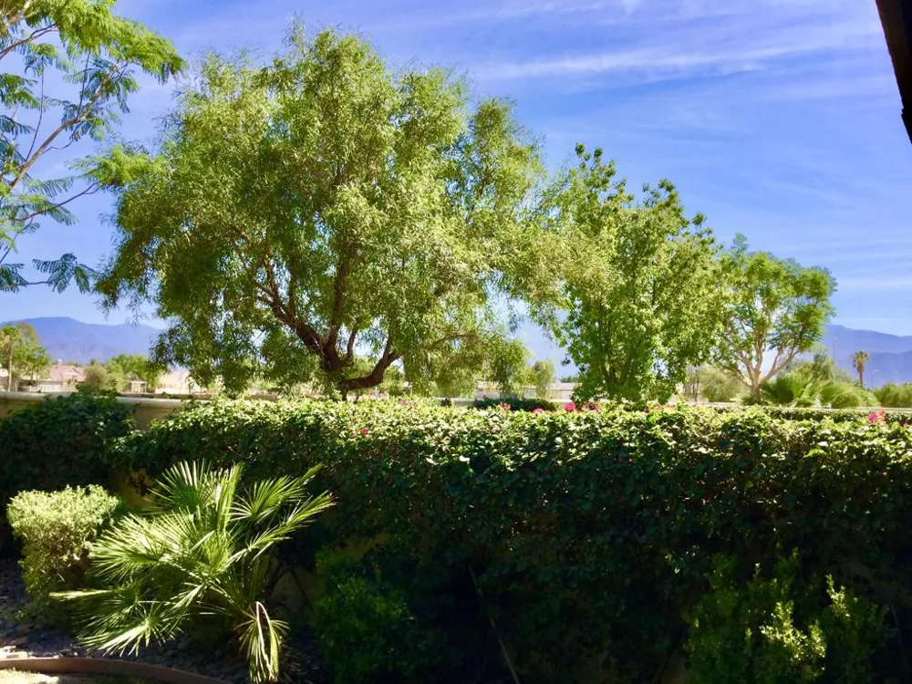 82775 Burnette Drive Indio, CA 92201