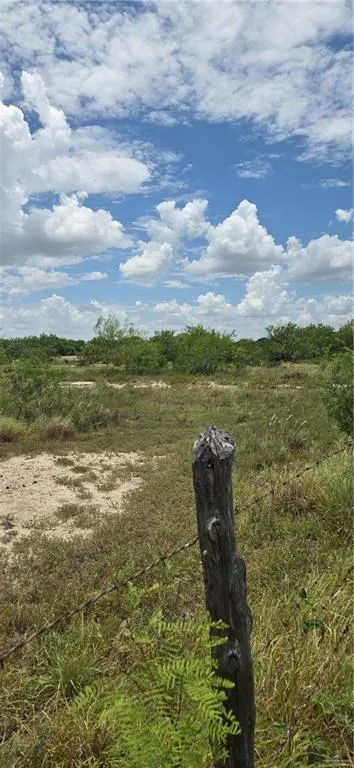 000 Mi Ranchita Drive Rio Grande City, TX 78582