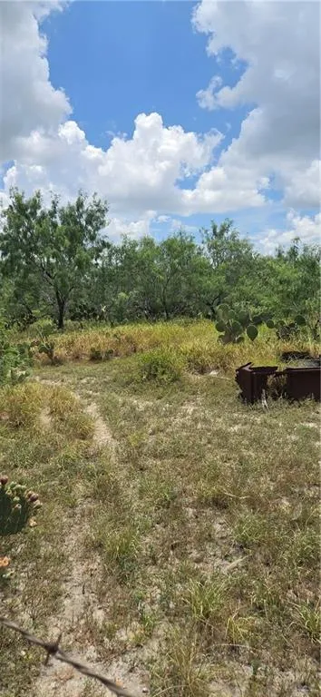 000 Mi Ranchita Drive Rio Grande City, TX 78582