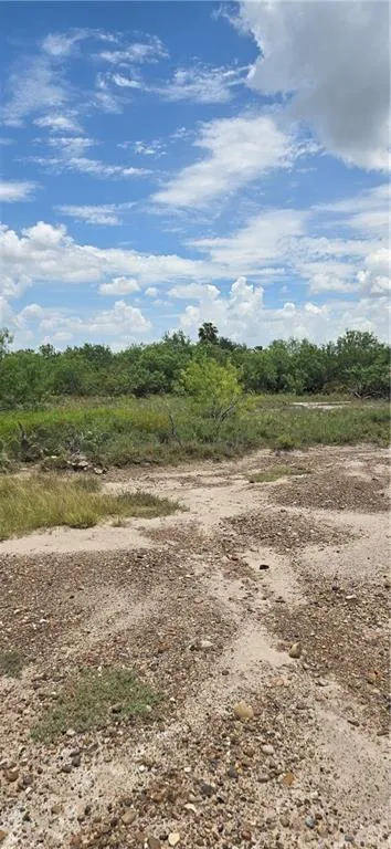 000 Mi Ranchita Drive Rio Grande City, TX 78582