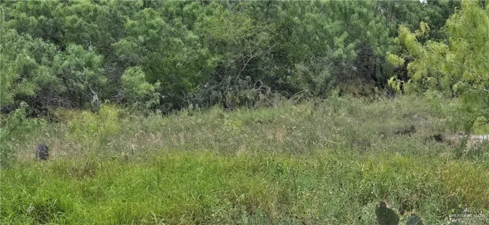 000 Mi Ranchita Drive Rio Grande City, TX 78582