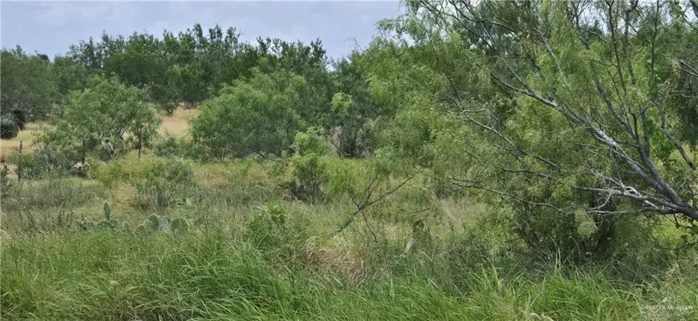 000 Mi Ranchita Drive Rio Grande City, TX 78582