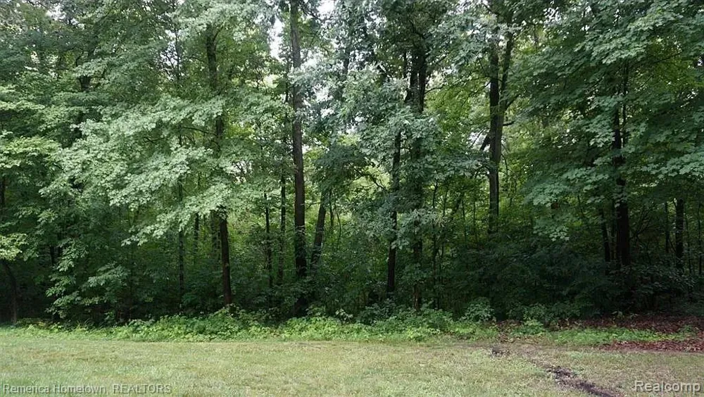 11975 Cody Creek Court South Lyon City, MI 48178