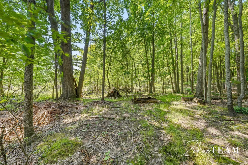 143 Maynard Avenue SW Walker City, MI 49534