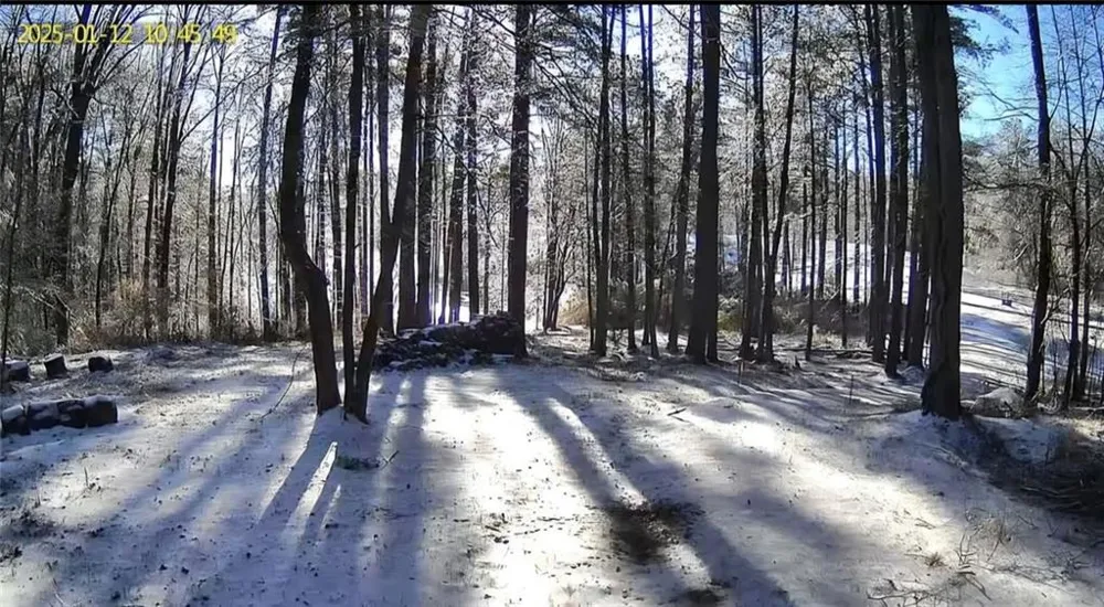 141 Cove Lake Drive Marble Hill, GA 30148