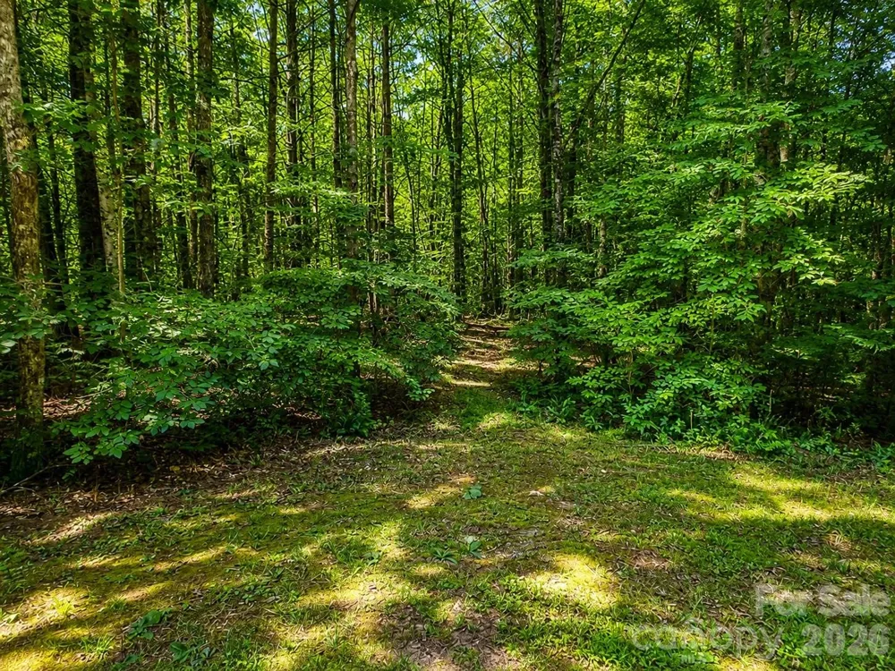 49 Trillium Trail #285 Nebo, NC 28761