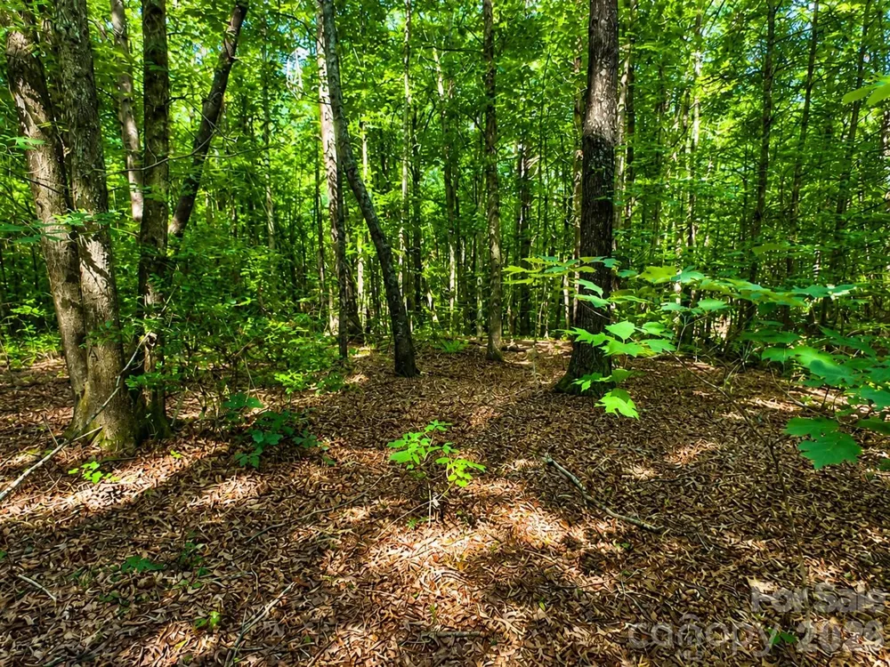 49 Trillium Trail #285 Nebo, NC 28761