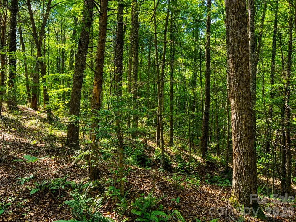 49 Trillium Trail #285 Nebo, NC 28761