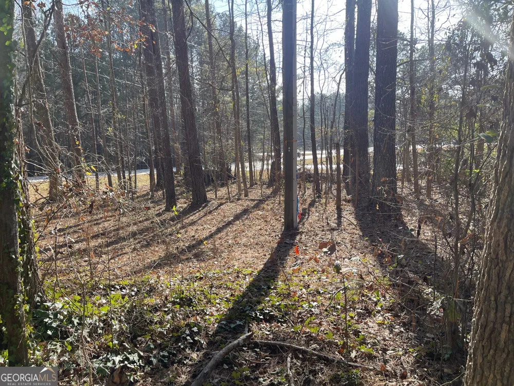 1811 McNutt Creek RD Bogart, GA 30622