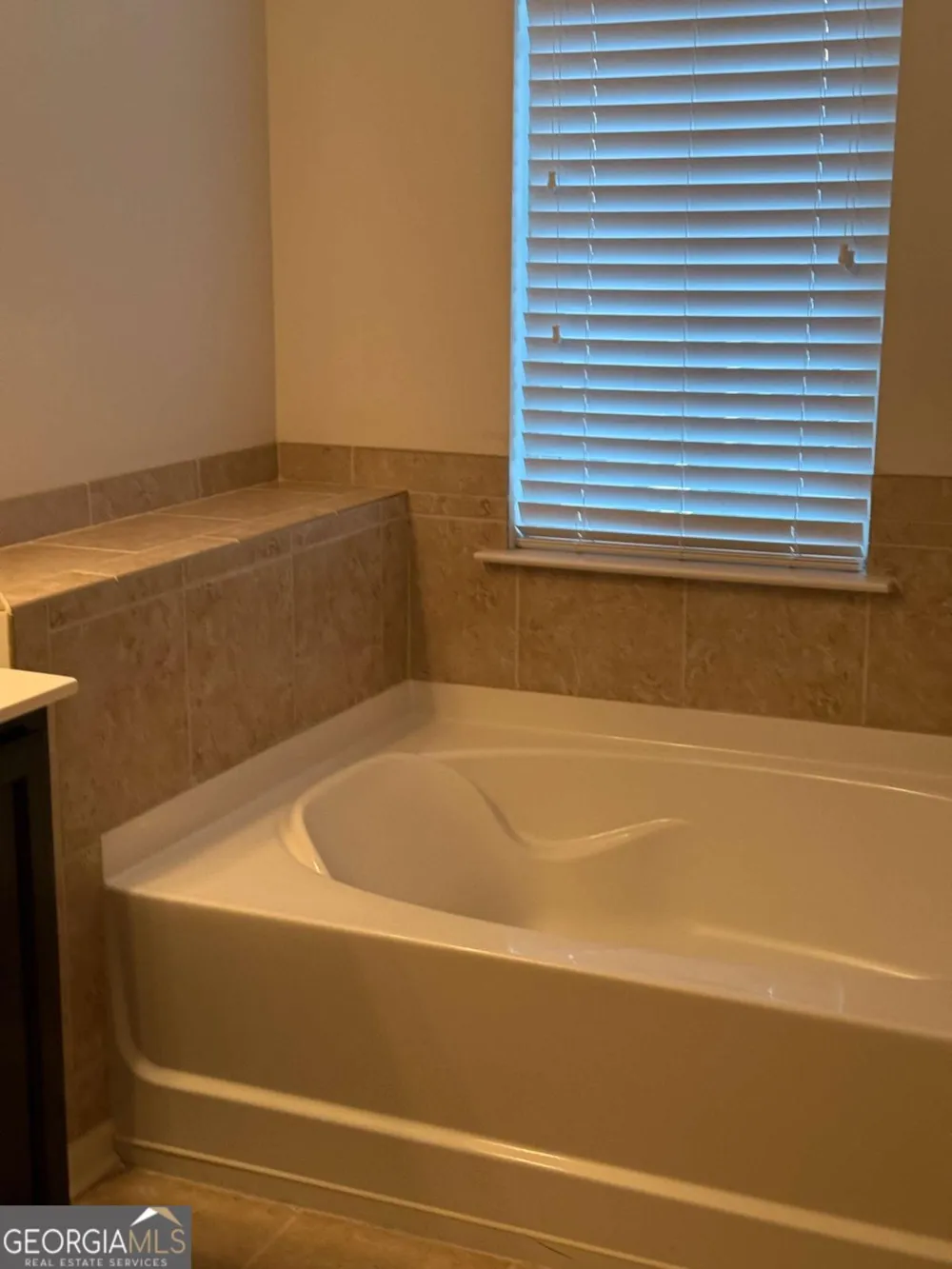 3144 Spicy Cedar LN Lithonia, GA 30038