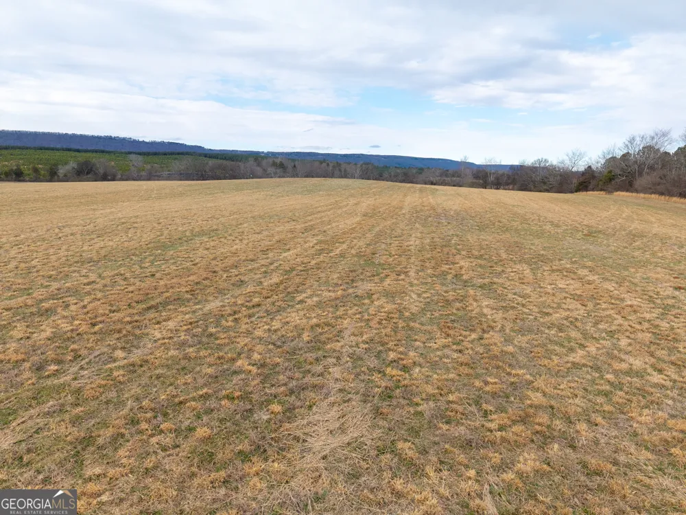 0 Old Hwy 337 Menlo, GA 30731