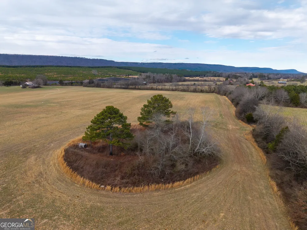 0 Old Hwy 337 Menlo, GA 30731