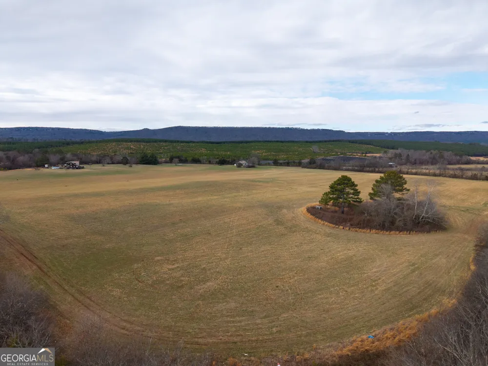 0 Old Hwy 337 Menlo, GA 30731