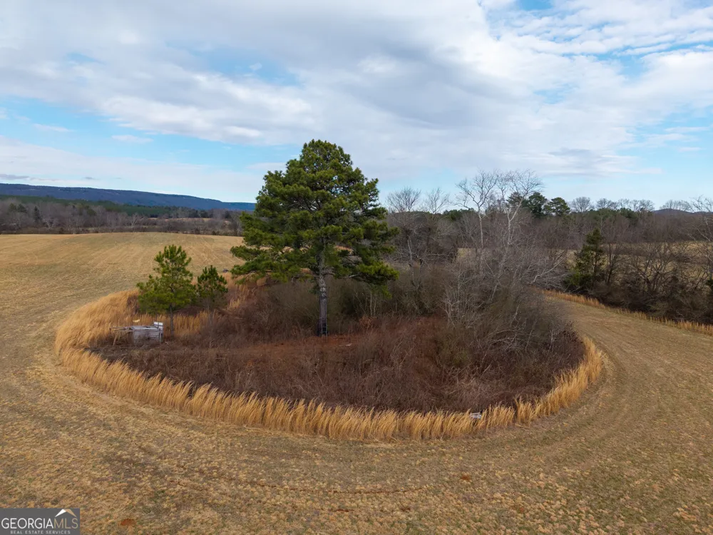 0 Old Hwy 337 Menlo, GA 30731